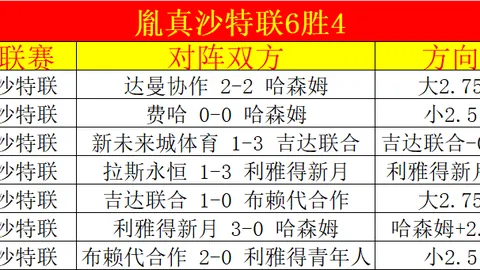 WCBA新帅上任河南队，全力争夺B组第一
